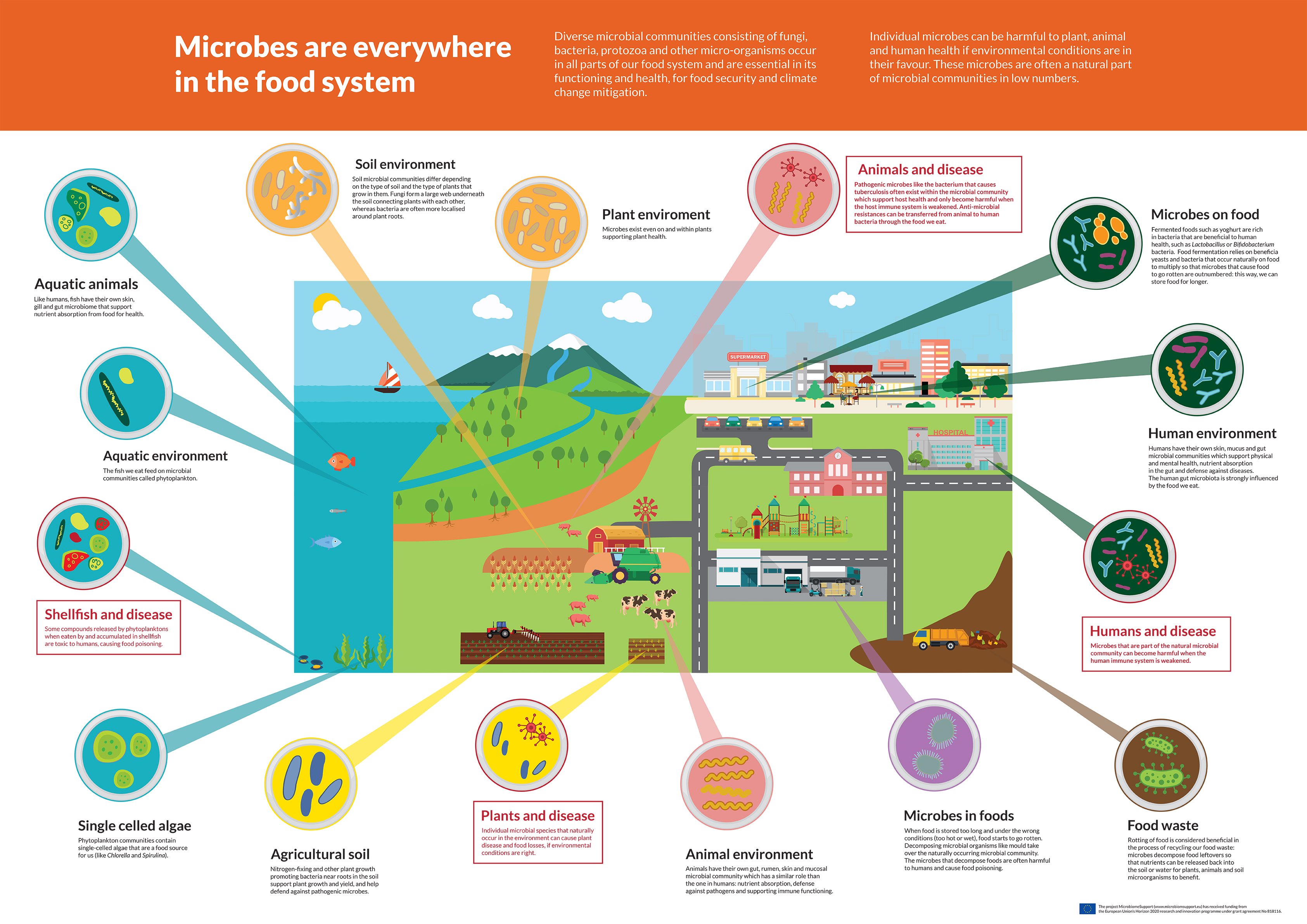 Infographic: Microbes are everywhere in the food system! - MicrobiomeSupport